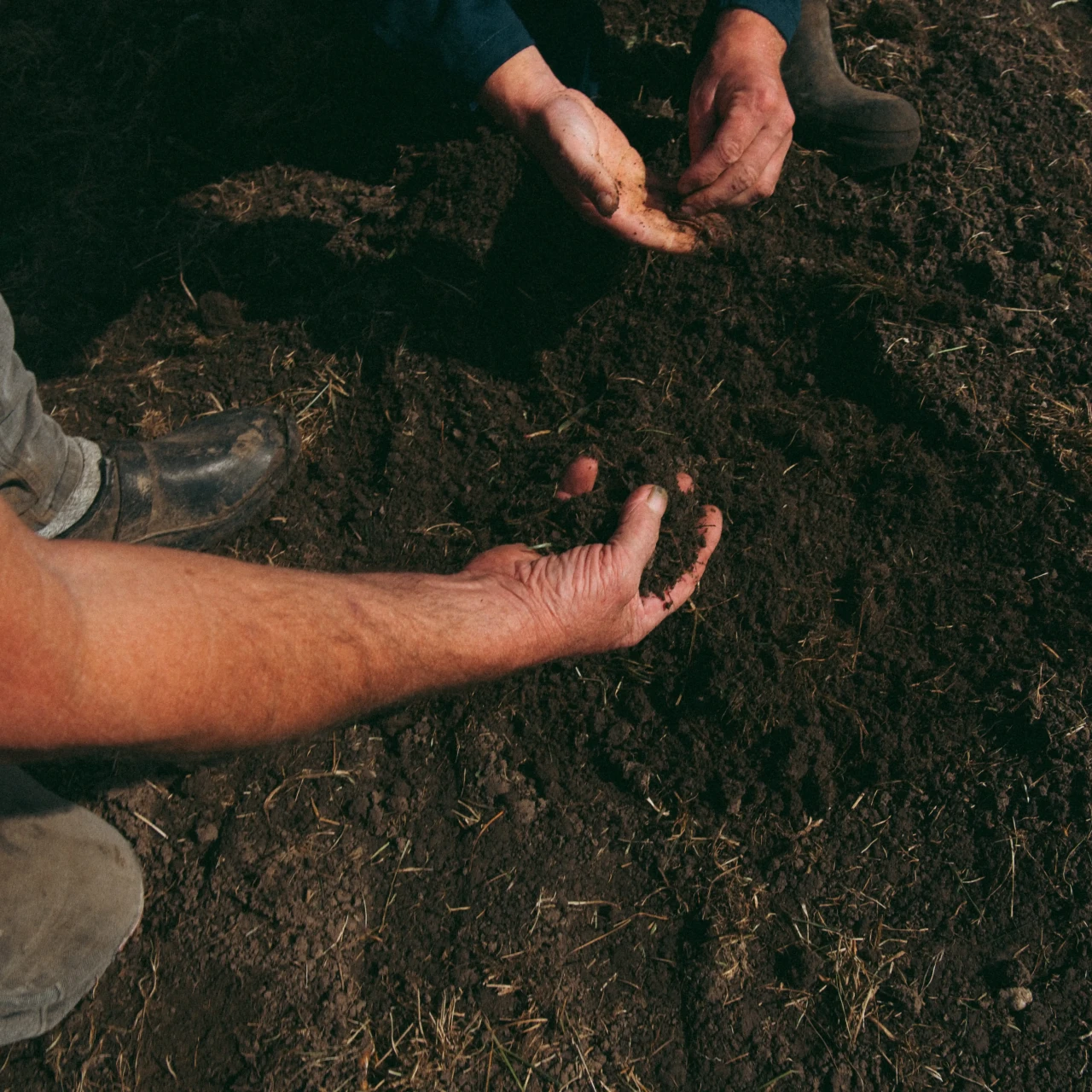 Landbouwgrond observeren